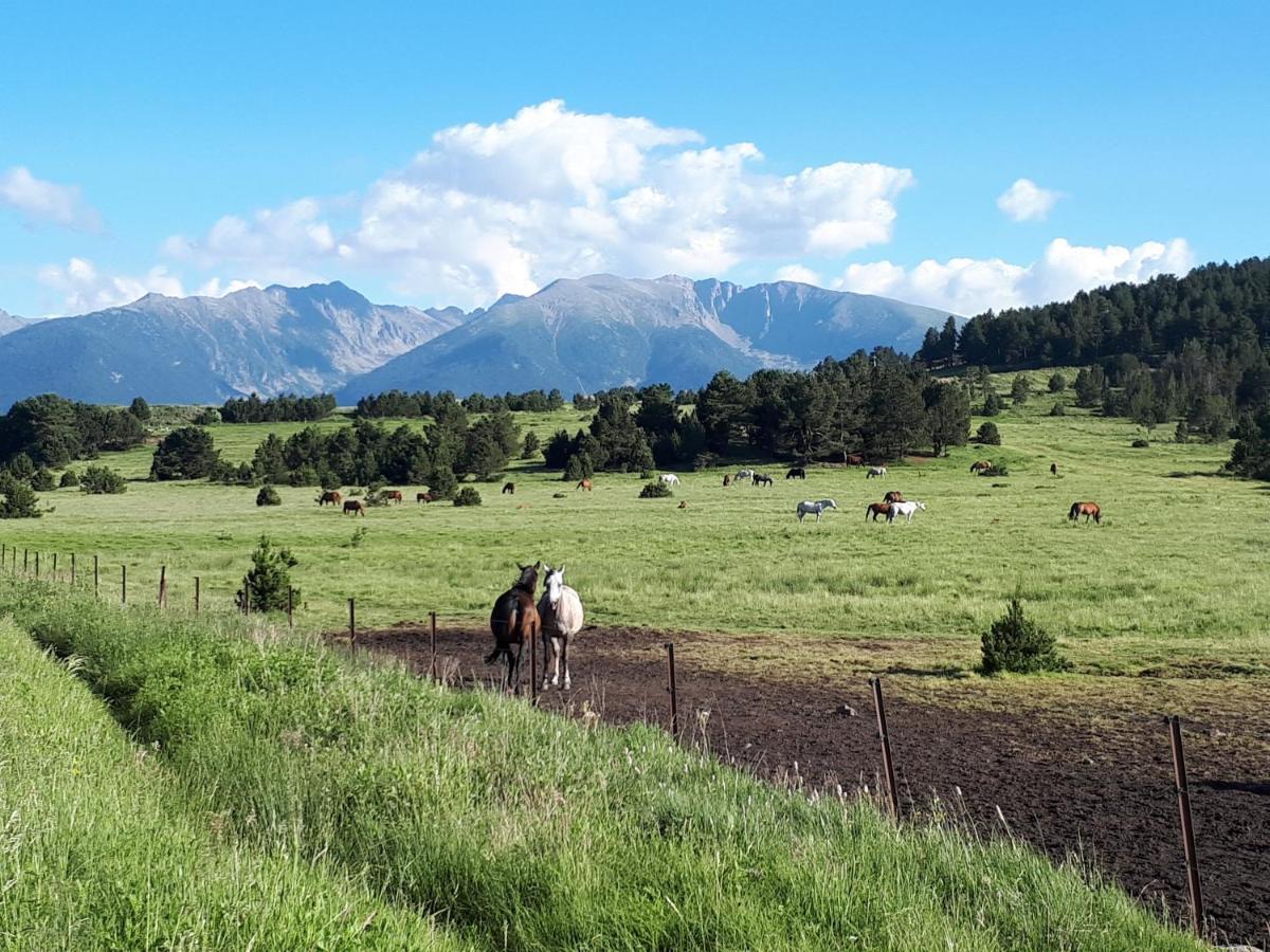Les Eglantines A Lejlighed Bolquere Pyrenees 2000 Eksteriør billede